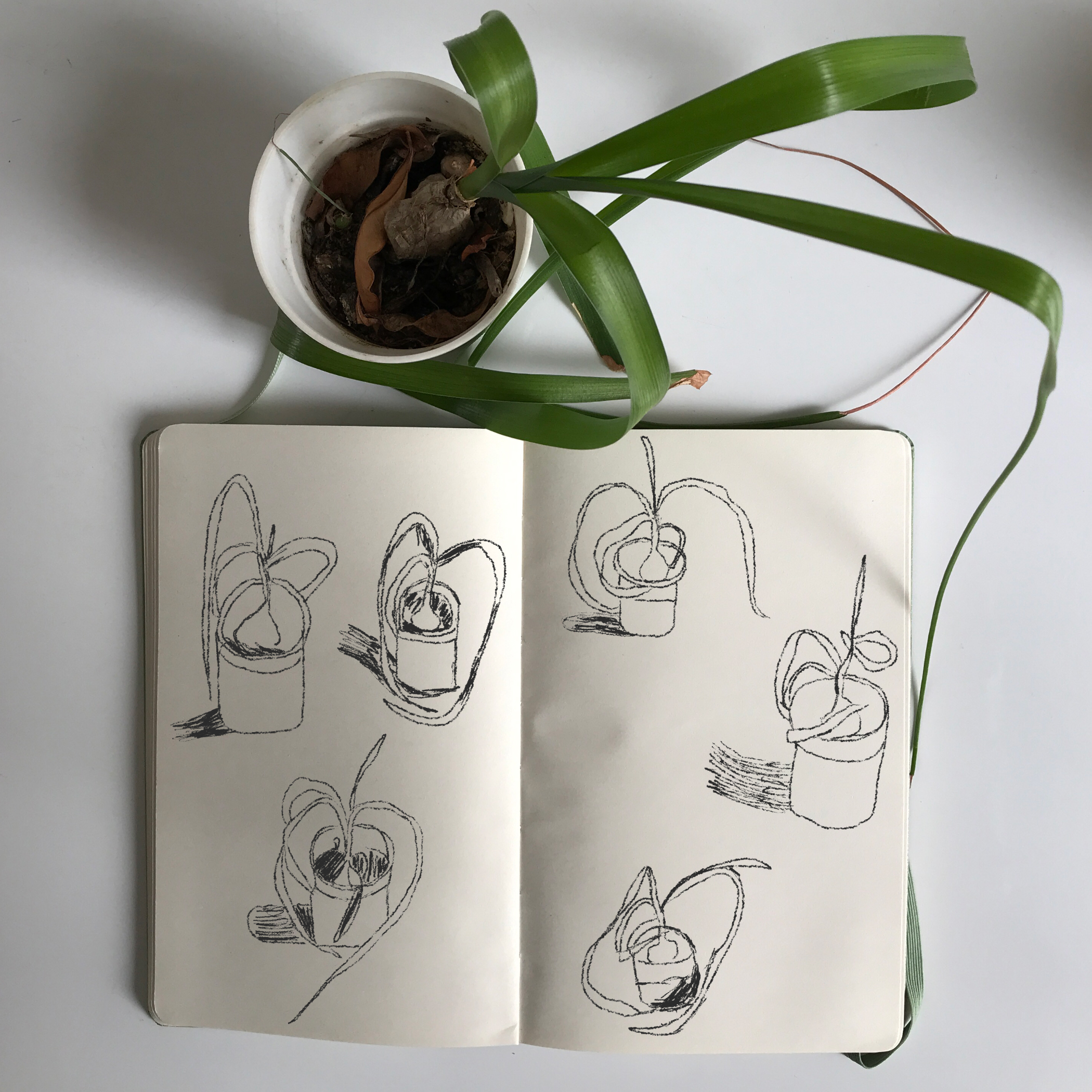 draw same object every day for self inspection